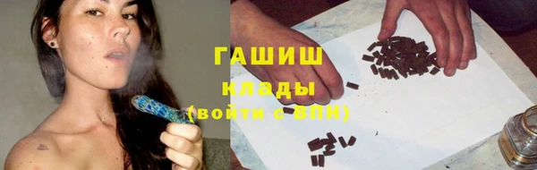 прущие грибы Алзамай