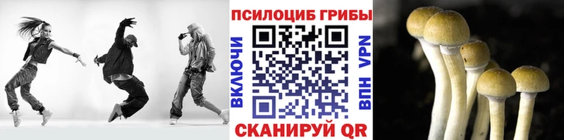 цены наркотик  Мостовской  Псилоцибиновые грибы ЛСД 