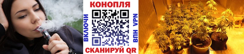 Каннабис планчик  Мостовской 